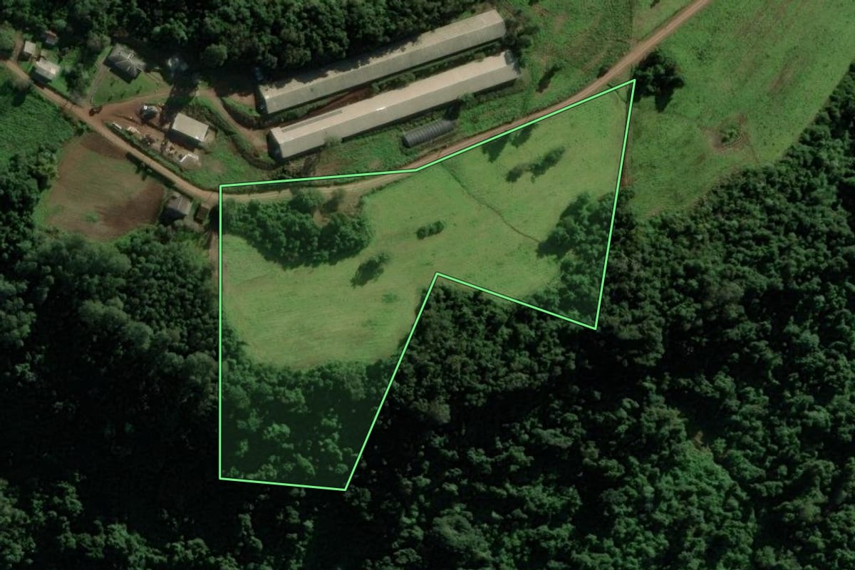 Imagem de satélite do imóvel rural em Nova Petrópolis (RS), com o contorno declarado no CAR desenhado por cima.