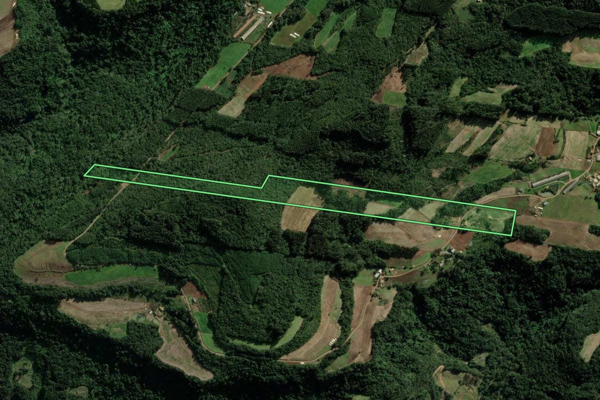 Imagem de satélite do imóvel rural em Nova Petrópolis (RS), com o contorno declarado no CAR desenhado por cima.