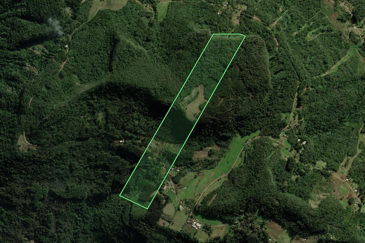 Imagem de satélite do imóvel rural em Nova Petrópolis (RS), com o contorno declarado no CAR desenhado por cima.