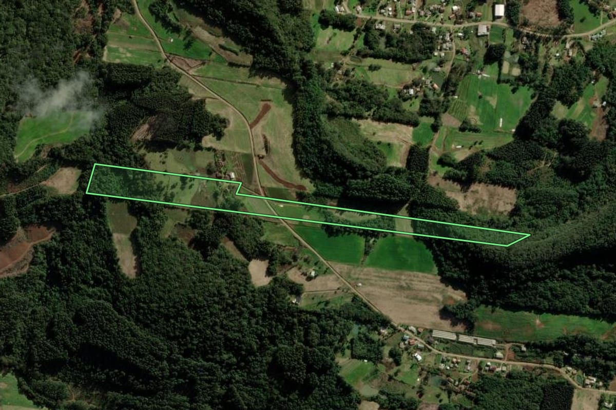 Imagem de satélite do imóvel rural em Nova Petrópolis (RS), com o contorno declarado no CAR desenhado por cima.