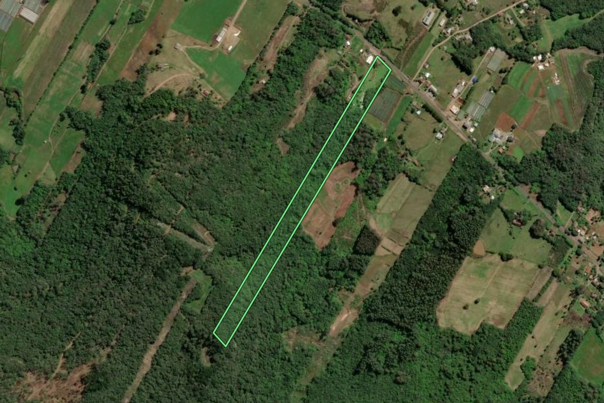 Imagem de satélite do imóvel rural em Nova Petrópolis (RS), com o contorno declarado no CAR desenhado por cima.