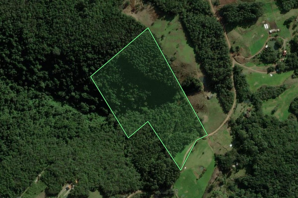 Imagem de satélite do imóvel rural em Nova Petrópolis (RS), com o contorno declarado no CAR desenhado por cima.