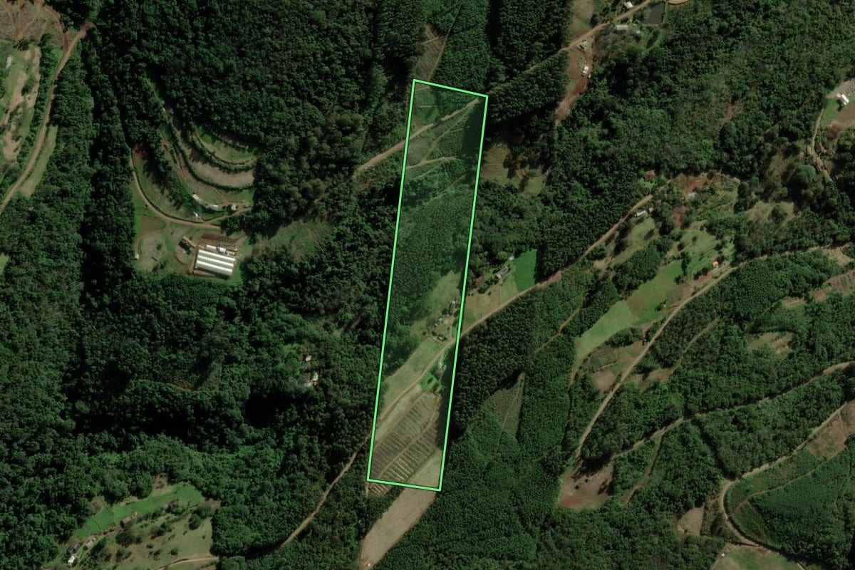 Imagem de satélite do imóvel rural em Nova Petrópolis (RS), com o contorno declarado no CAR desenhado por cima.