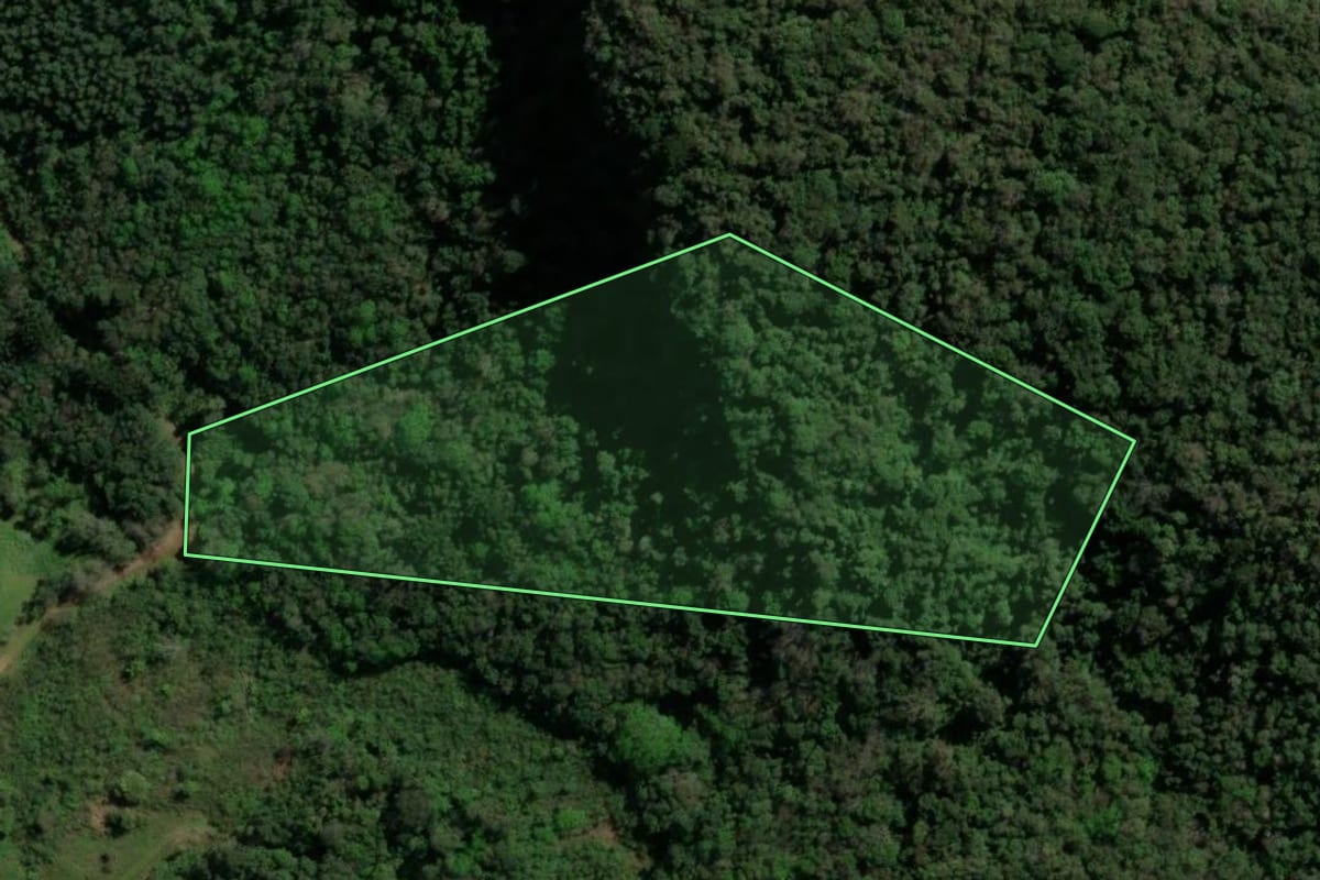 Imagem de satélite do imóvel rural em Nova Petrópolis (RS), com o contorno declarado no CAR desenhado por cima.