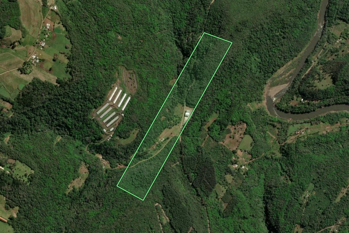 Imagem de satélite do imóvel rural em Nova Petrópolis (RS), com o contorno declarado no CAR desenhado por cima.