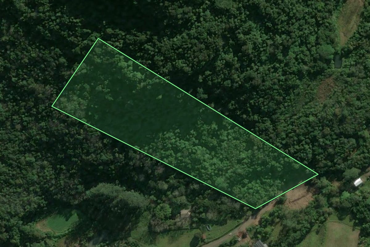 Imagem de satélite do imóvel rural em Nova Petrópolis (RS), com o contorno declarado no CAR desenhado por cima.