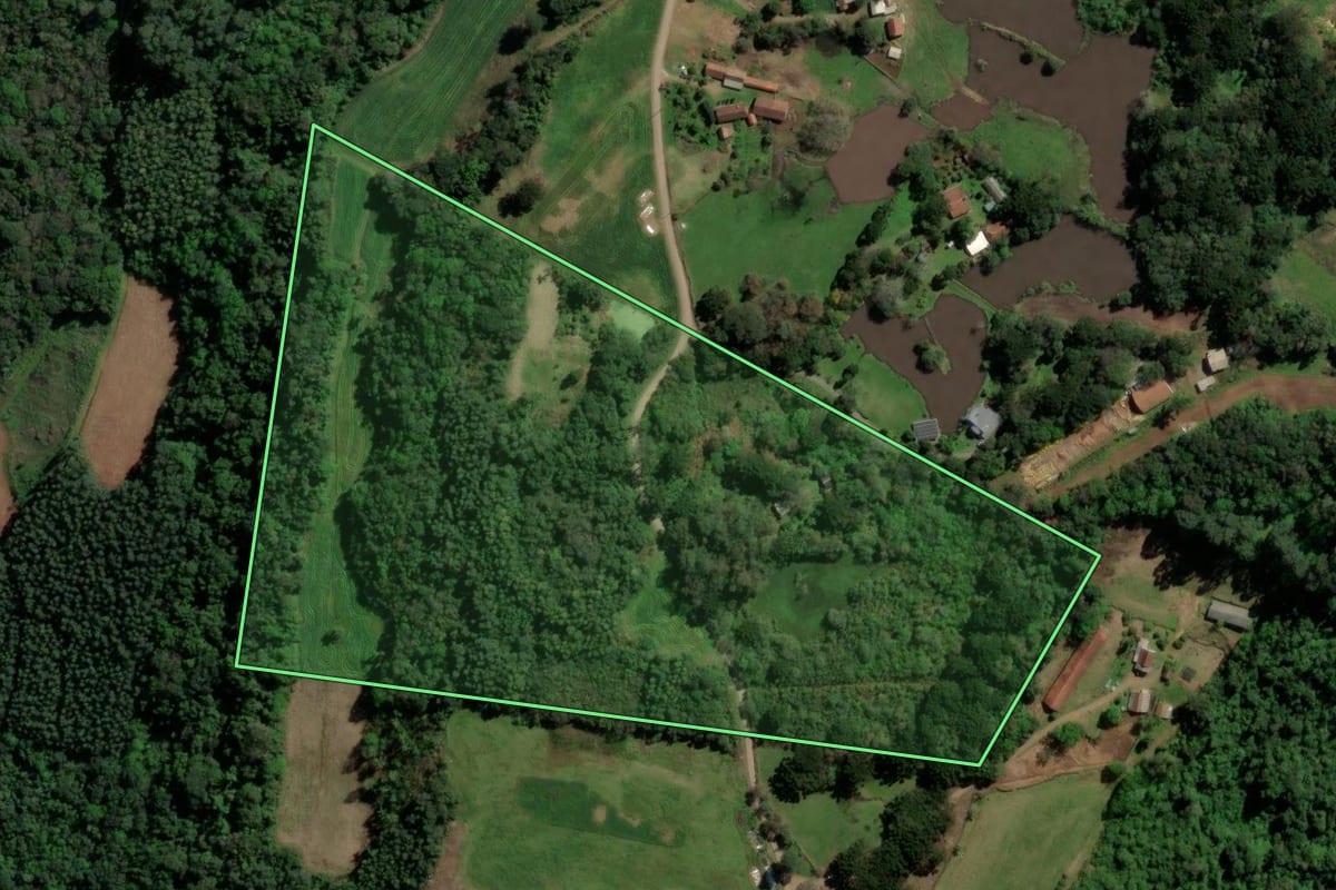 Imagem de satélite do imóvel rural em Nova Petrópolis (RS), com o contorno declarado no CAR desenhado por cima.
