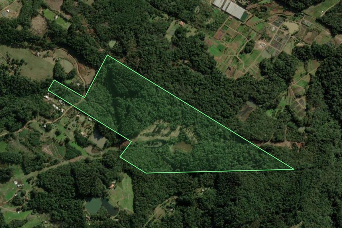 Imagem de satélite do imóvel rural em Nova Petrópolis (RS), com o contorno declarado no CAR desenhado por cima.