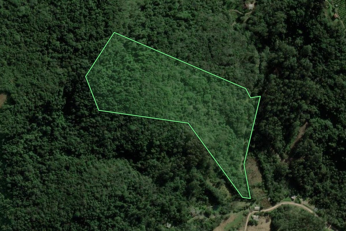 Imagem de satélite do imóvel rural em Nova Petrópolis (RS), com o contorno declarado no CAR desenhado por cima.
