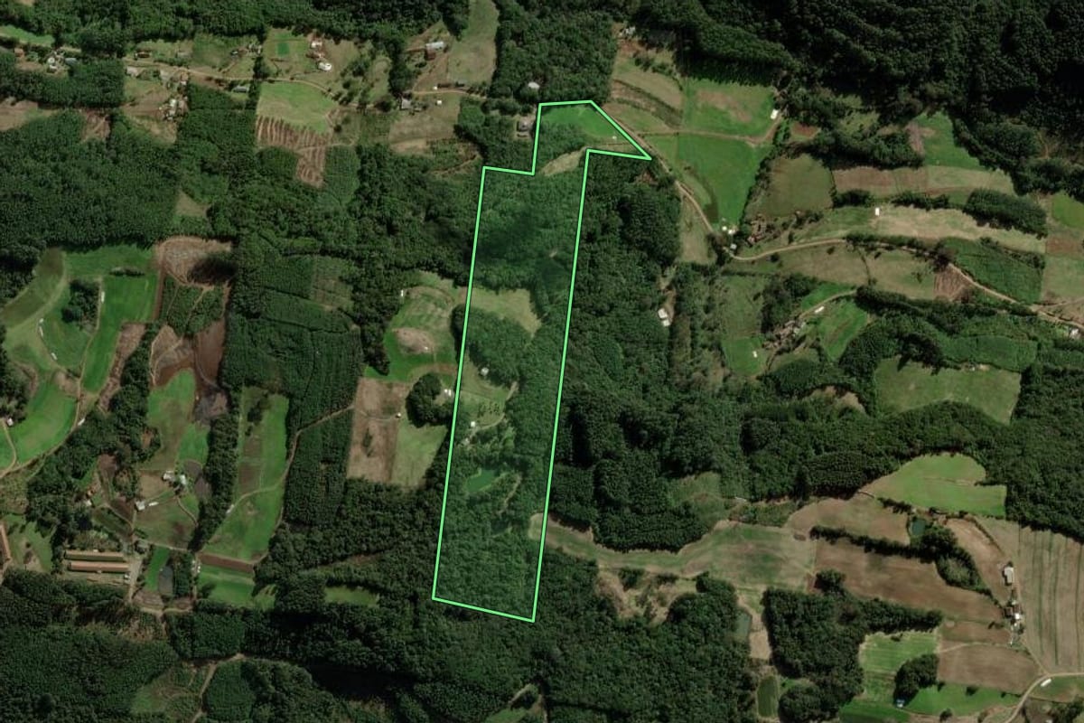 Imagem de satélite do imóvel rural em Nova Petrópolis (RS), com o contorno declarado no CAR desenhado por cima.