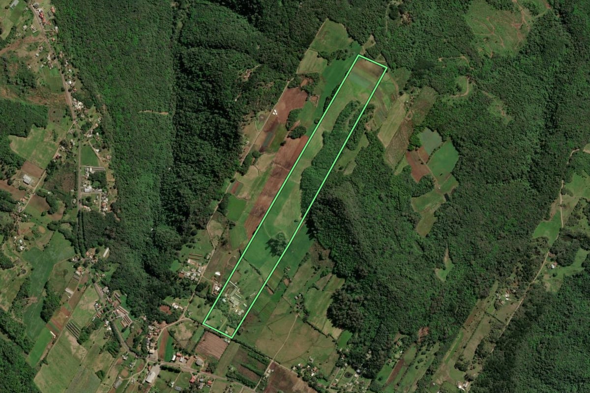 Imagem de satélite do imóvel rural em Nova Petrópolis (RS), com o contorno declarado no CAR desenhado por cima.