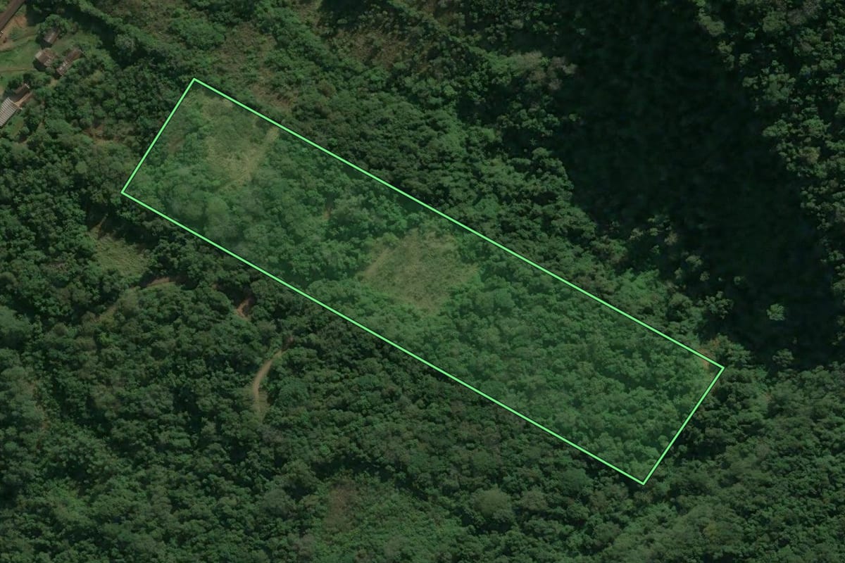 Imagem de satélite do imóvel rural em Nova Petrópolis (RS), com o contorno declarado no CAR desenhado por cima.