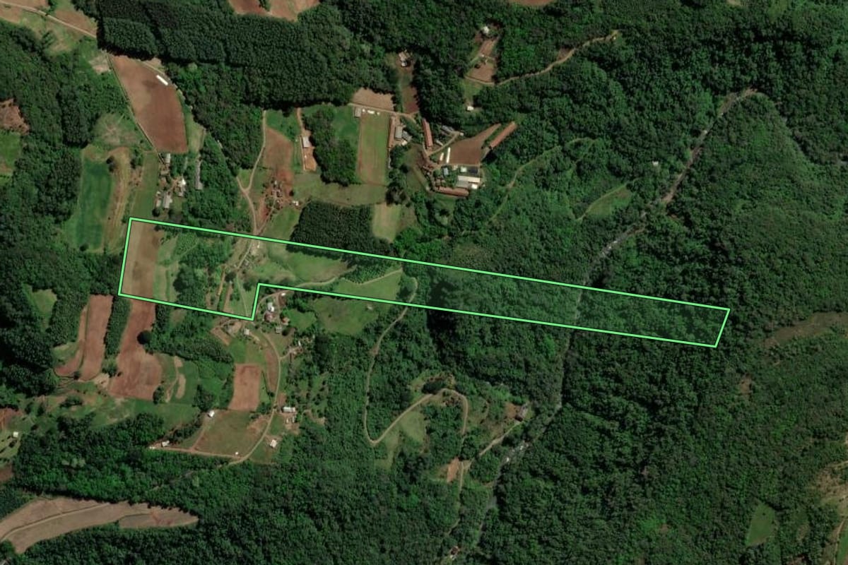 Imagem de satélite do imóvel rural em Nova Petrópolis (RS), com o contorno declarado no CAR desenhado por cima.