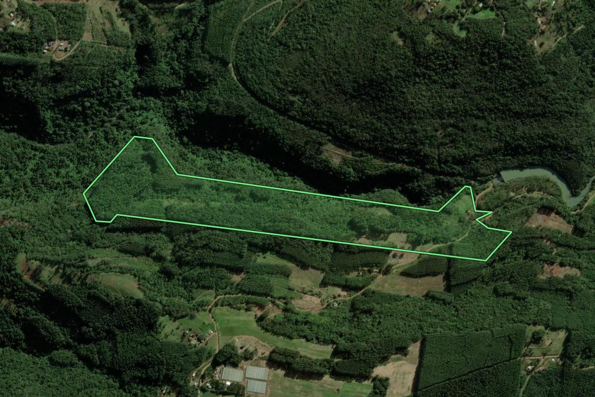 Imagem de satélite do imóvel rural em Nova Petrópolis (RS), com o contorno declarado no CAR desenhado por cima.