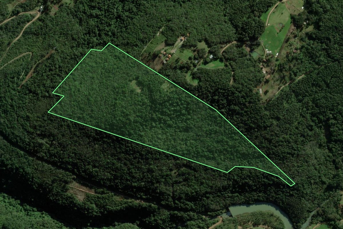 Imagem de satélite do imóvel rural em Nova Petrópolis (RS), com o contorno declarado no CAR desenhado por cima.