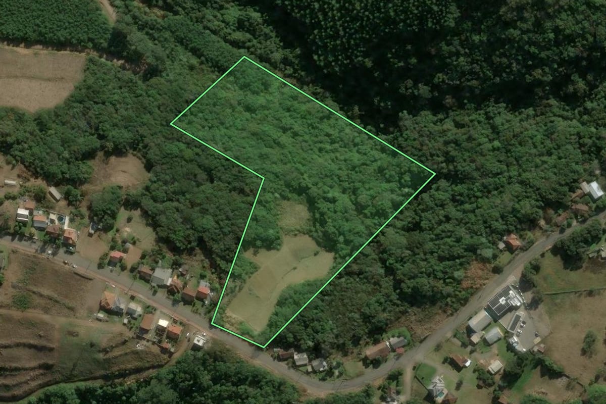 Imagem de satélite do imóvel rural em Nova Petrópolis (RS), com o contorno declarado no CAR desenhado por cima.