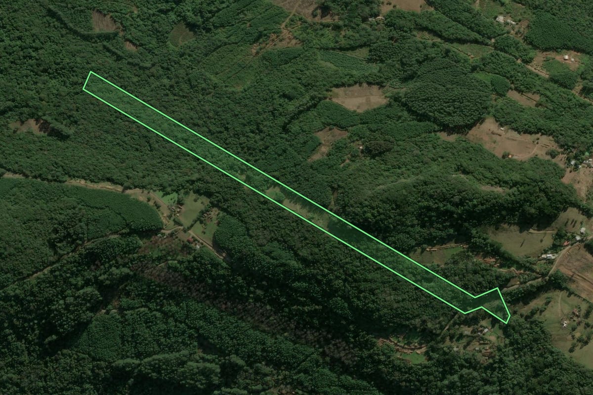 Imagem de satélite do imóvel rural em Nova Petrópolis (RS), com o contorno declarado no CAR desenhado por cima.