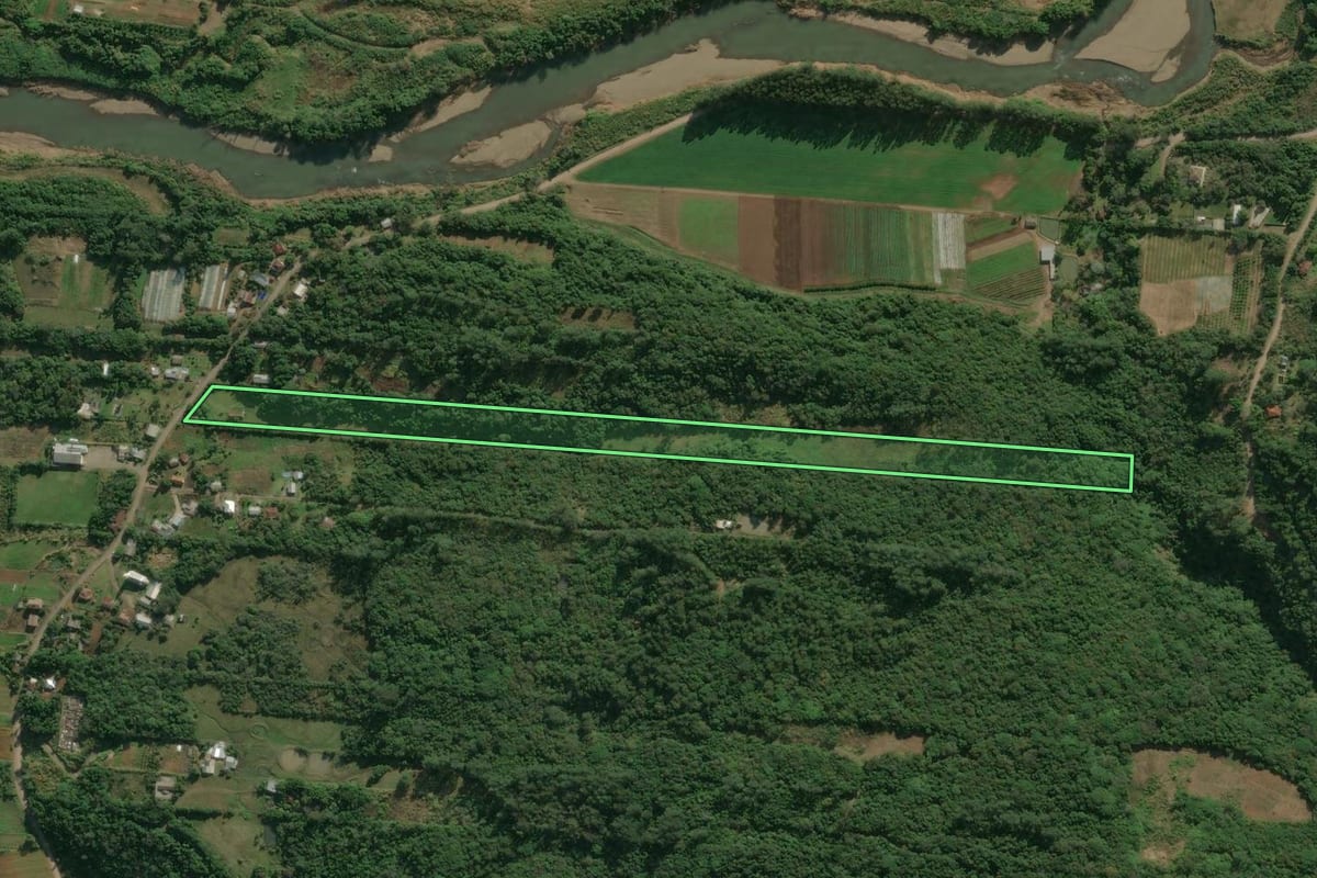 Imagem de satélite do imóvel rural em Nova Petrópolis (RS), com o contorno declarado no CAR desenhado por cima.