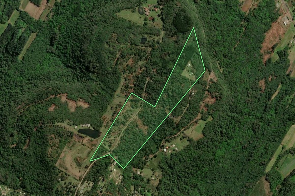 Imagem de satélite do imóvel rural em Nova Petrópolis (RS), com o contorno declarado no CAR desenhado por cima.