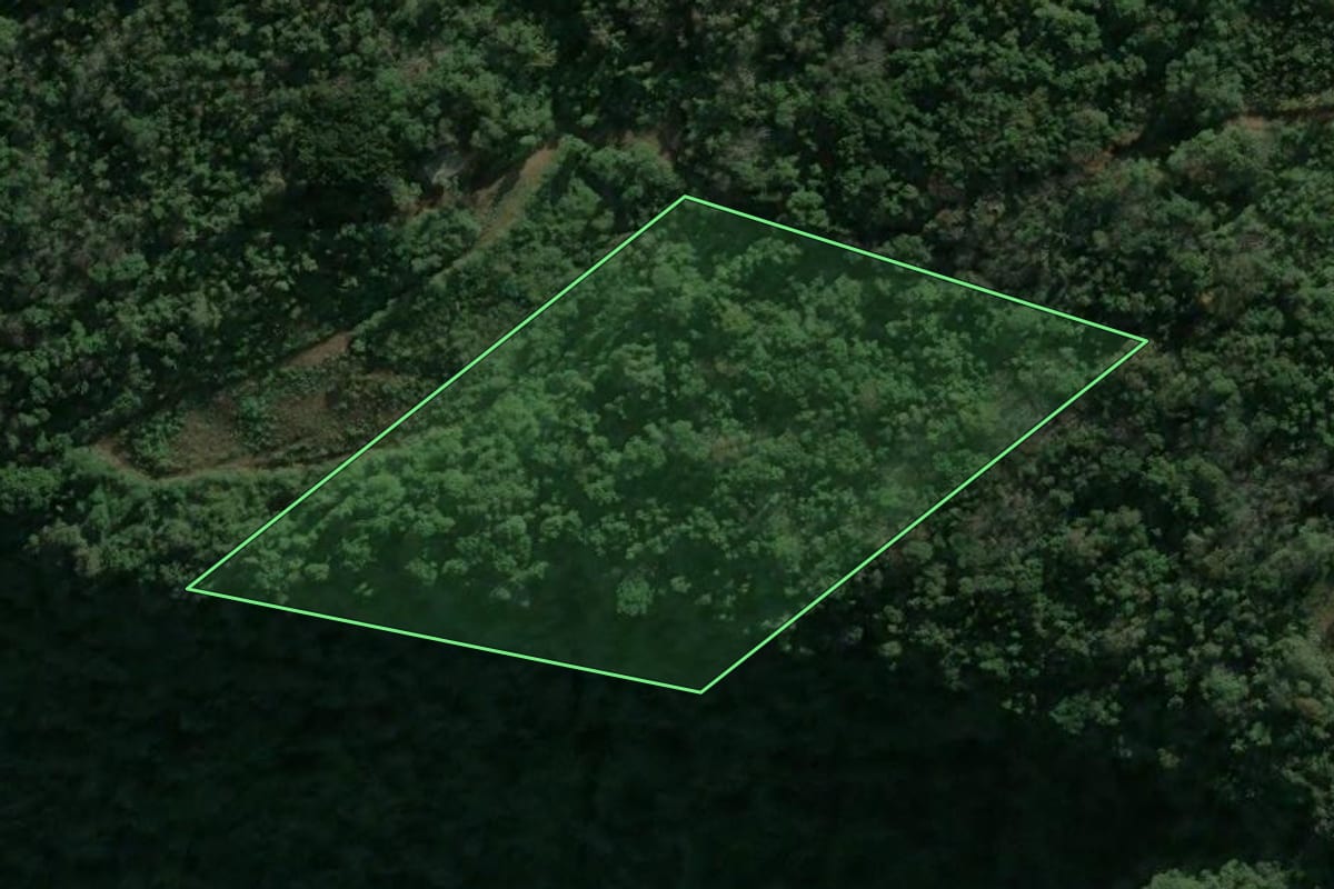 Imagem de satélite do imóvel rural em Nova Petrópolis (RS), com o contorno declarado no CAR desenhado por cima.
