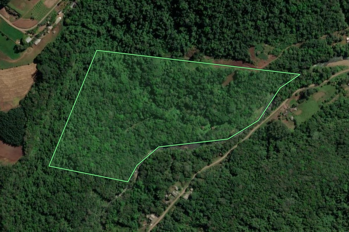 Imagem de satélite do imóvel rural em Nova Petrópolis (RS), com o contorno declarado no CAR desenhado por cima.