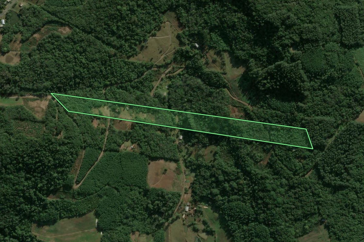 Imagem de satélite do imóvel rural em Nova Petrópolis (RS), com o contorno declarado no CAR desenhado por cima.