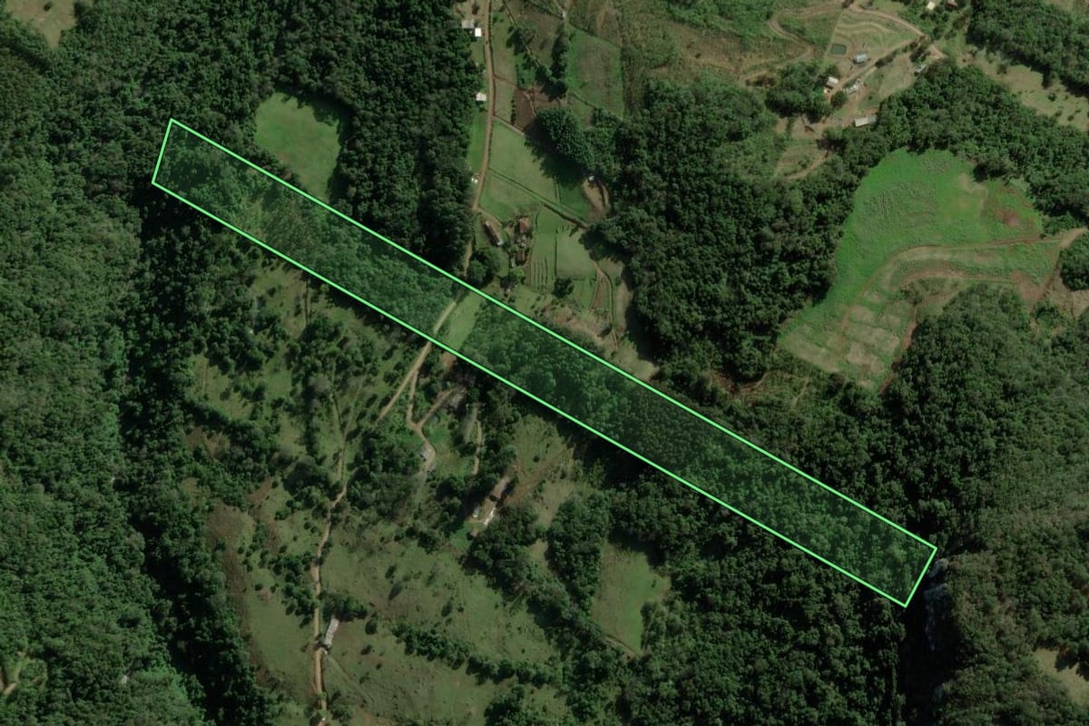 Imagem de satélite do imóvel rural em Nova Petrópolis (RS), com o contorno declarado no CAR desenhado por cima.