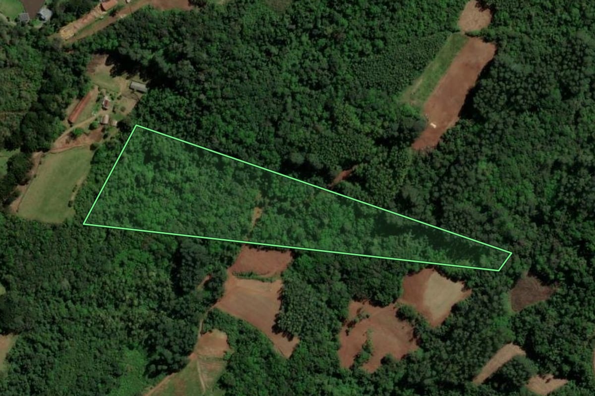 Imagem de satélite do imóvel rural em Nova Petrópolis (RS), com o contorno declarado no CAR desenhado por cima.
