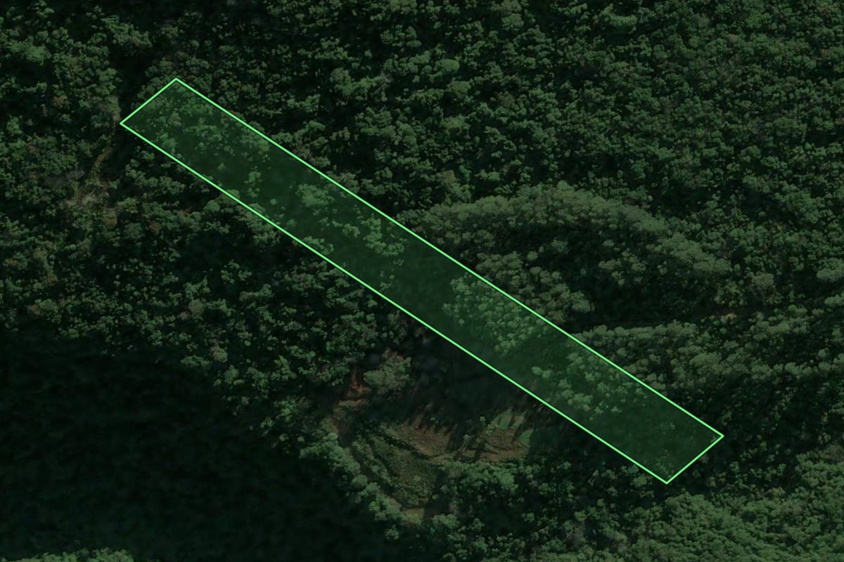 Imagem de satélite do imóvel rural em Nova Petrópolis (RS), com o contorno declarado no CAR desenhado por cima.