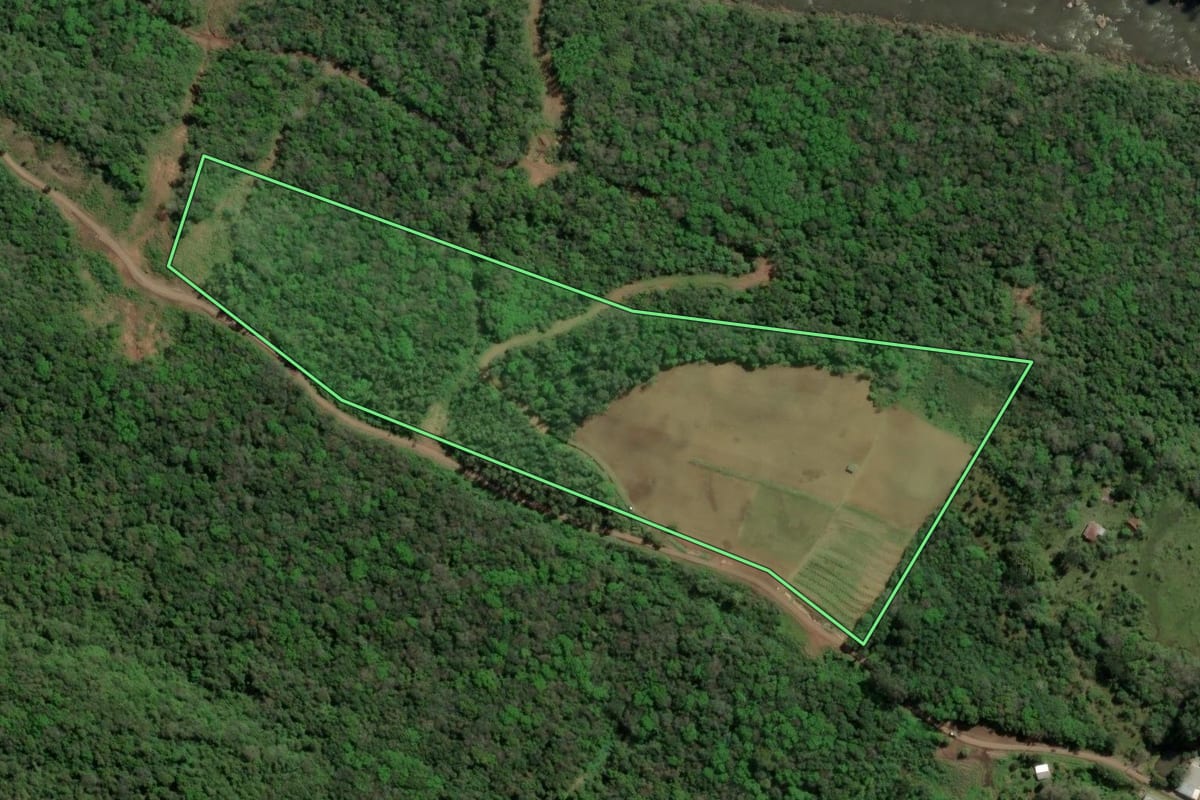Imagem de satélite do imóvel rural em Nova Petrópolis (RS), com o contorno declarado no CAR desenhado por cima.