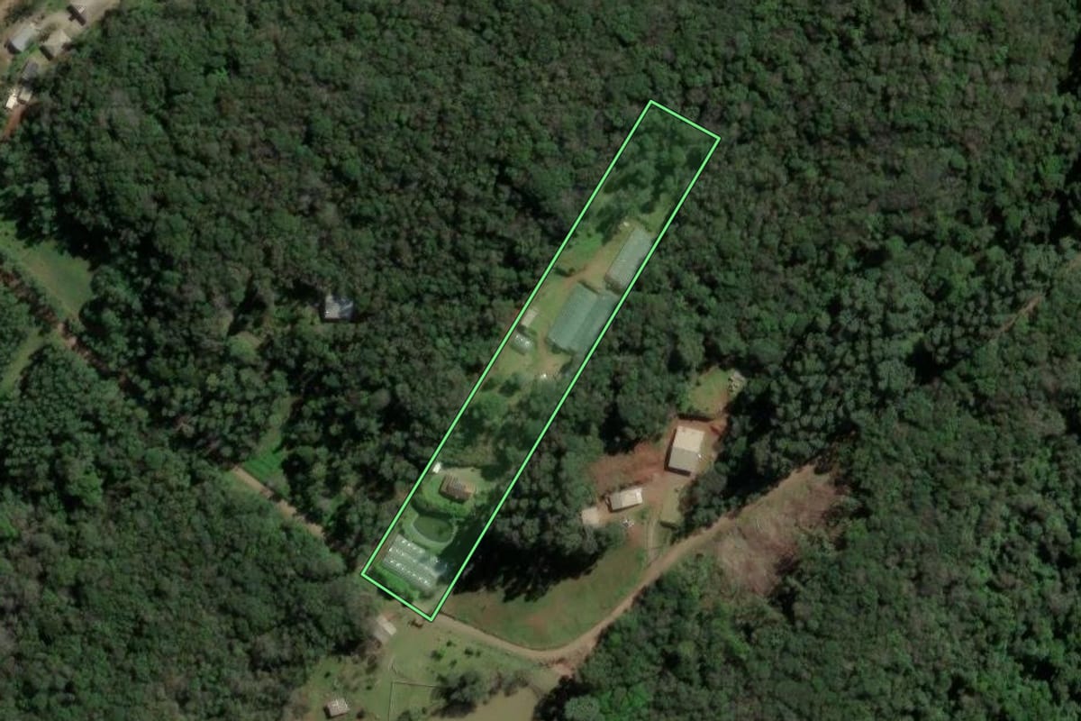 Imagem de satélite do imóvel rural em Nova Petrópolis (RS), com o contorno declarado no CAR desenhado por cima.
