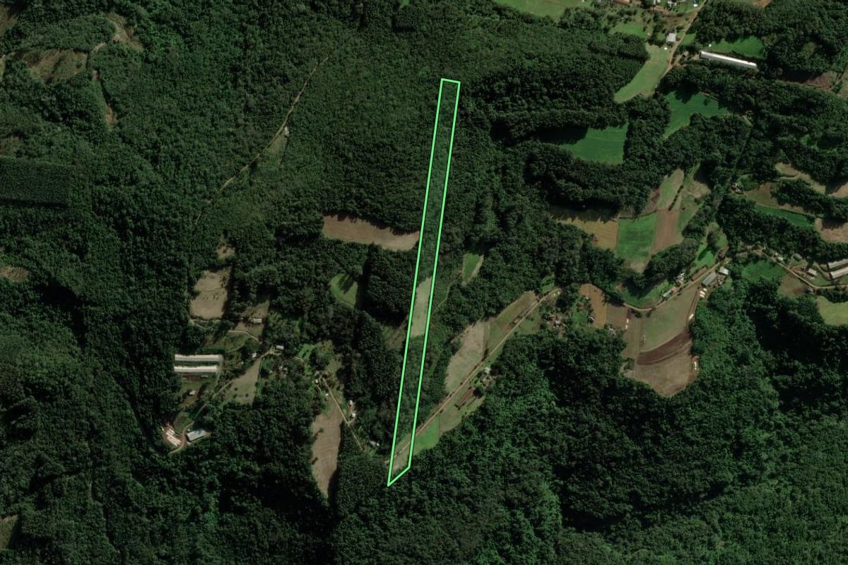 Imagem de satélite do imóvel rural em Nova Petrópolis (RS), com o contorno declarado no CAR desenhado por cima.