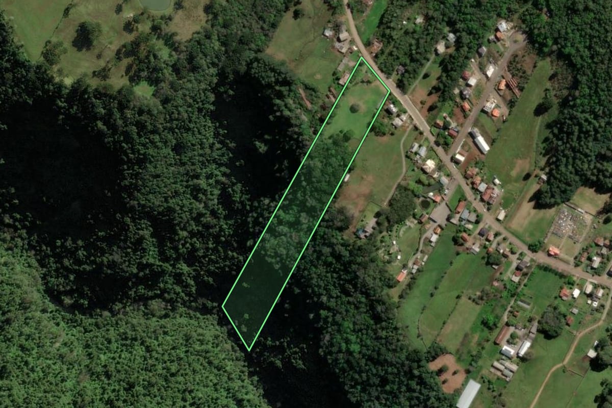 Imagem de satélite do imóvel rural em Nova Petrópolis (RS), com o contorno declarado no CAR desenhado por cima.