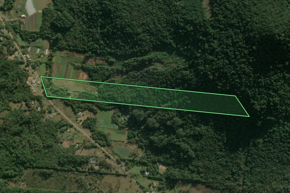 Imagem de satélite do imóvel rural em Nova Petrópolis (RS), com o contorno declarado no CAR desenhado por cima.