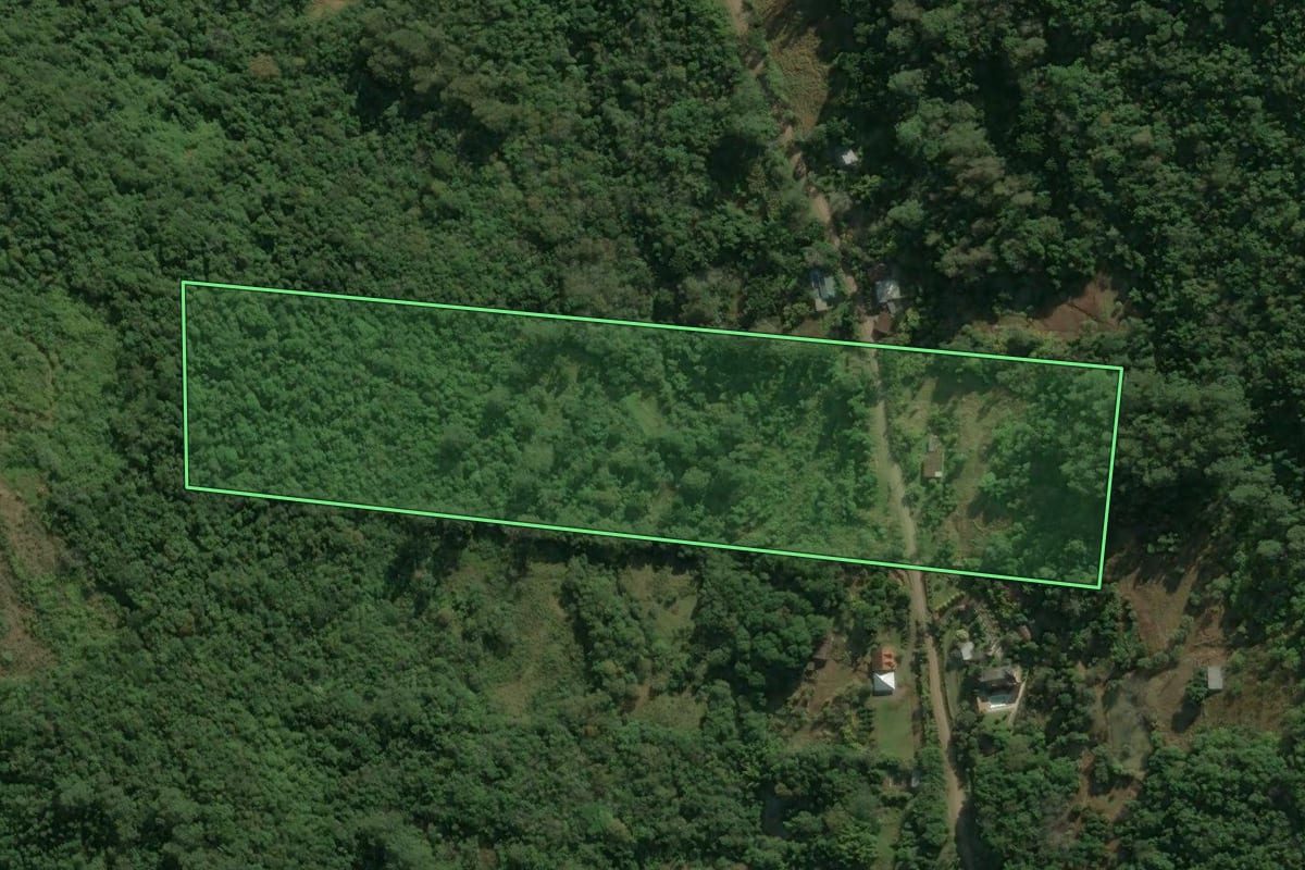 Imagem de satélite do imóvel rural em Nova Petrópolis (RS), com o contorno declarado no CAR desenhado por cima.