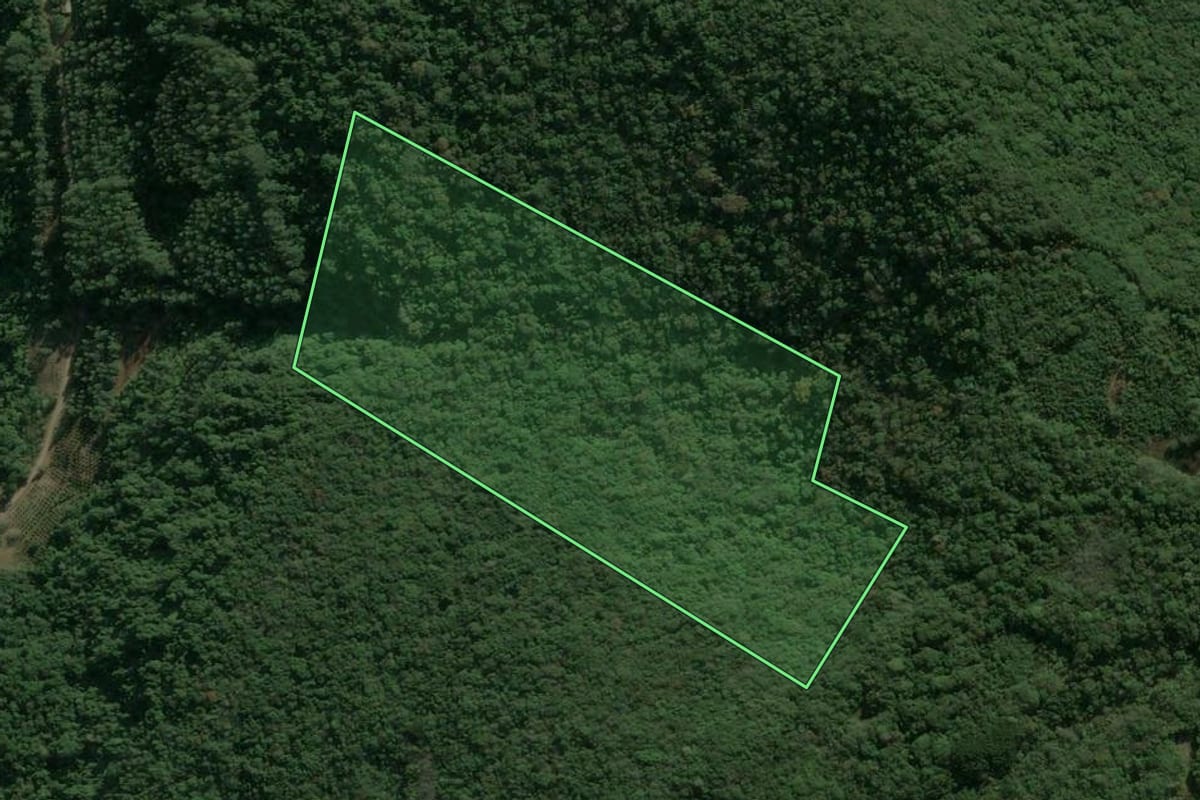 Imagem de satélite do imóvel rural em Nova Petrópolis (RS), com o contorno declarado no CAR desenhado por cima.
