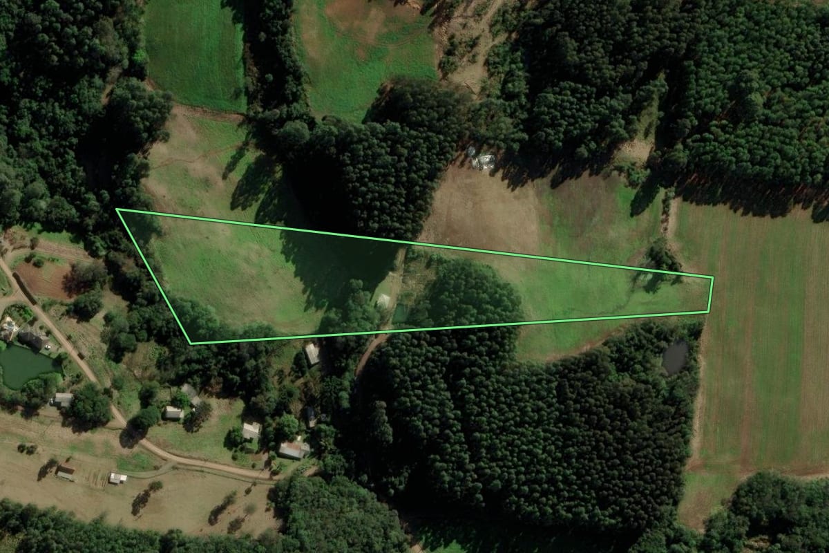 Imagem de satélite do imóvel rural em Nova Petrópolis (RS), com o contorno declarado no CAR desenhado por cima.