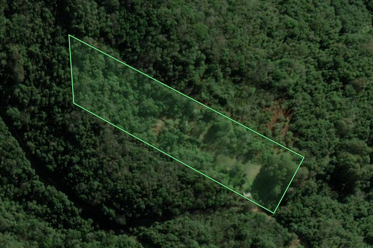Imagem de satélite do imóvel rural em Nova Petrópolis (RS), com o contorno declarado no CAR desenhado por cima.