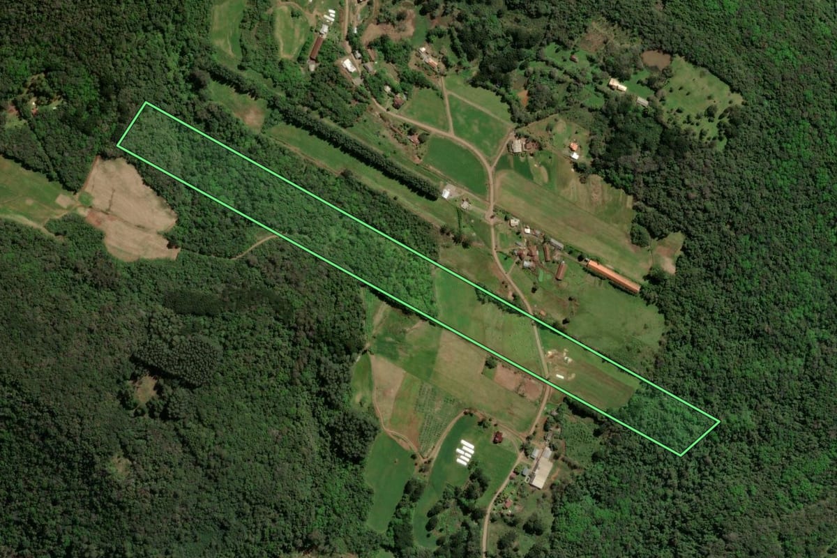 Imagem de satélite do imóvel rural em Nova Petrópolis (RS), com o contorno declarado no CAR desenhado por cima.