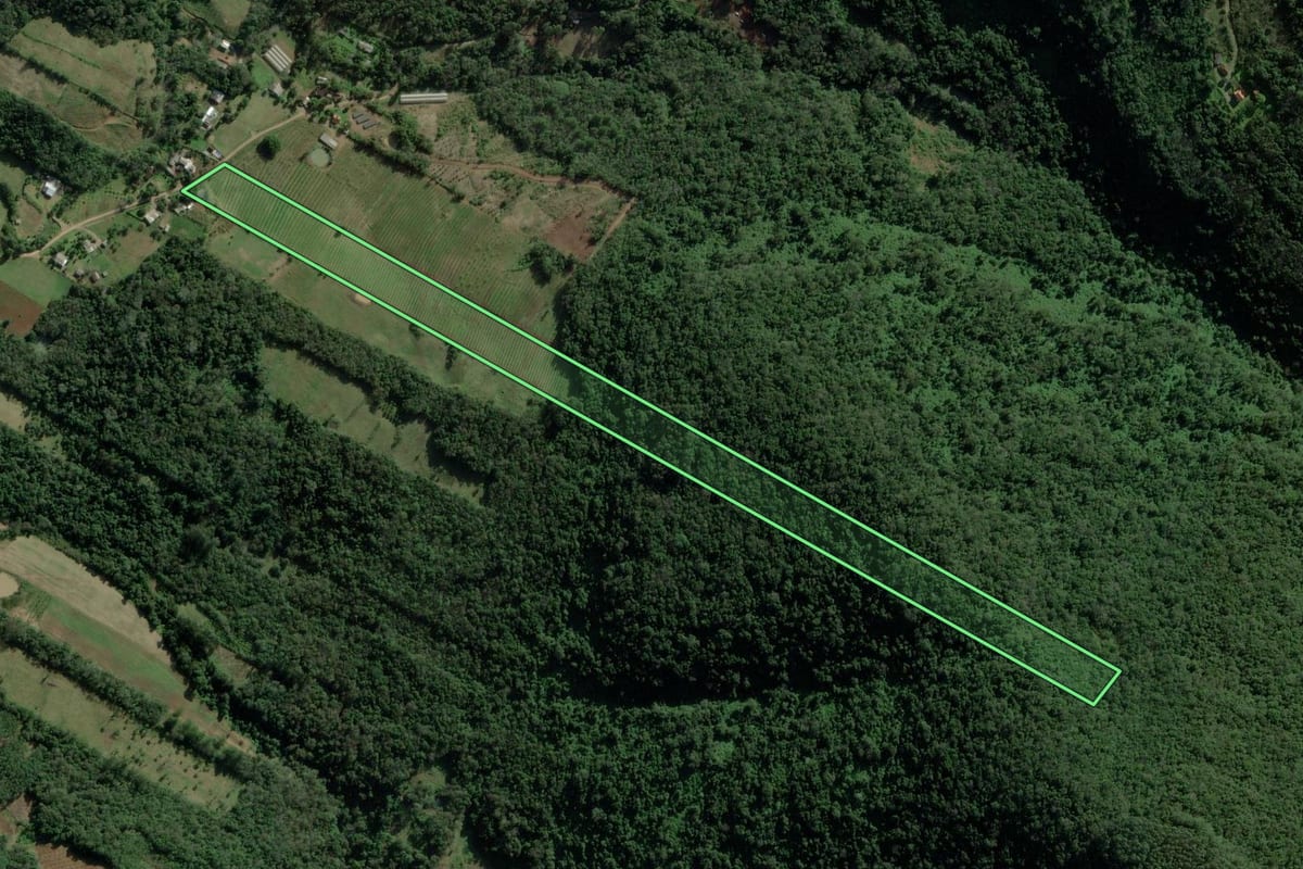Imagem de satélite do imóvel rural em Nova Petrópolis (RS), com o contorno declarado no CAR desenhado por cima.