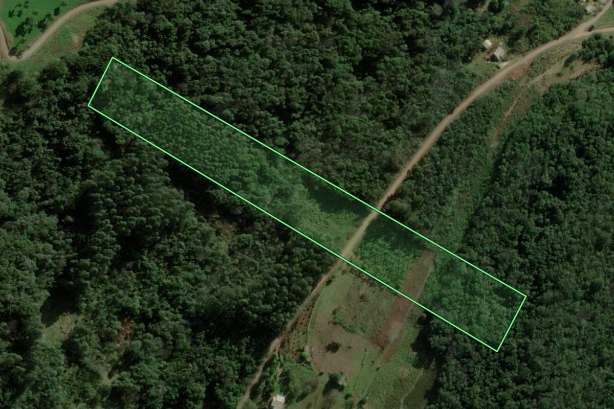Imagem de satélite do imóvel rural em Nova Petrópolis (RS), com o contorno declarado no CAR desenhado por cima.