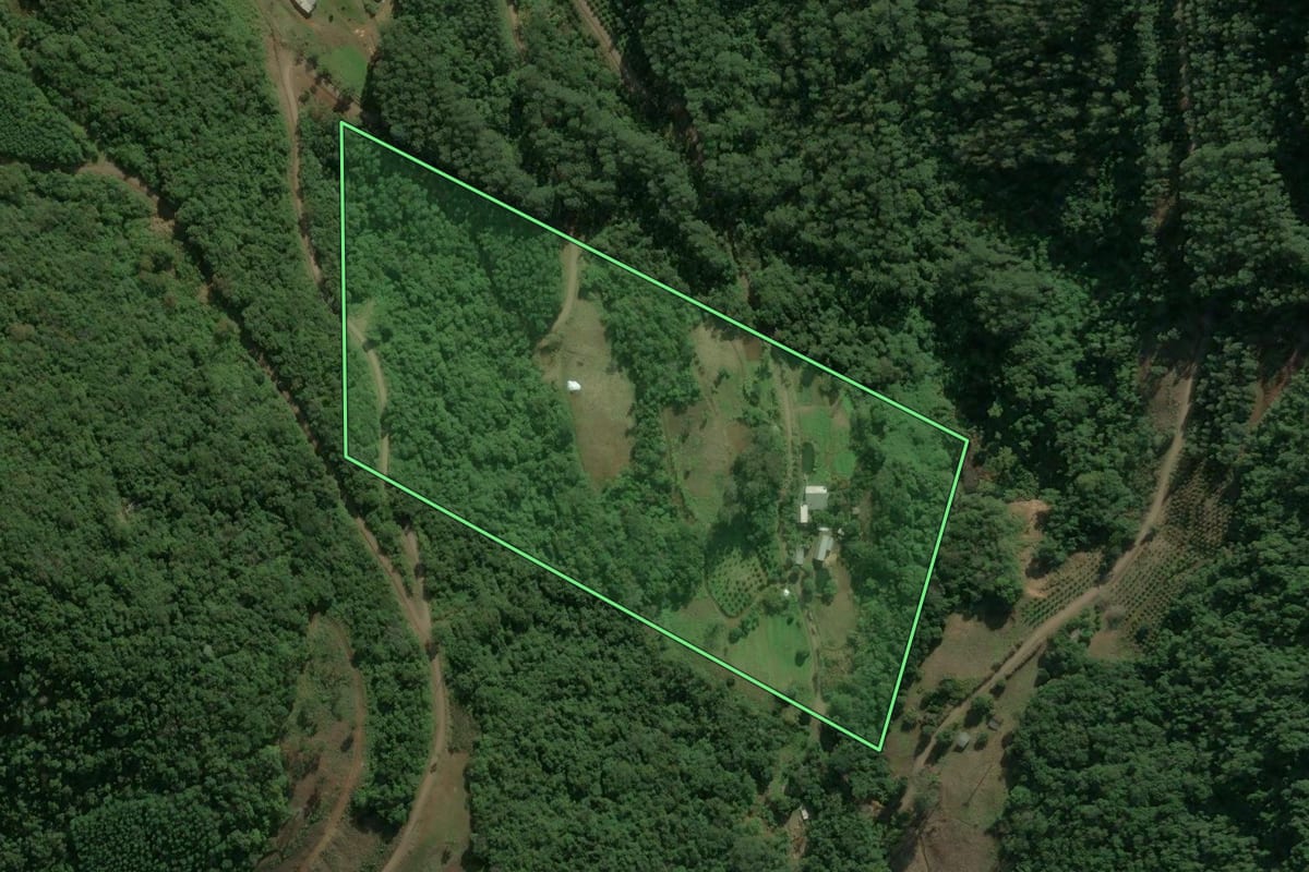 Imagem de satélite do imóvel rural em Nova Petrópolis (RS), com o contorno declarado no CAR desenhado por cima.
