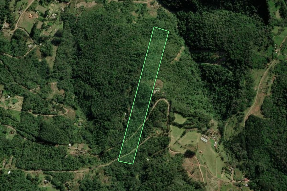Imagem de satélite do imóvel rural em Nova Petrópolis (RS), com o contorno declarado no CAR desenhado por cima.