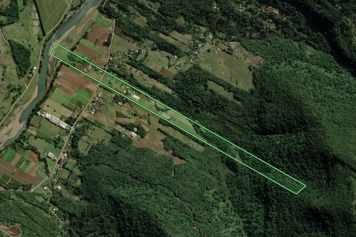 Imagem de satélite do imóvel rural em Nova Petrópolis (RS), com o contorno declarado no CAR desenhado por cima.