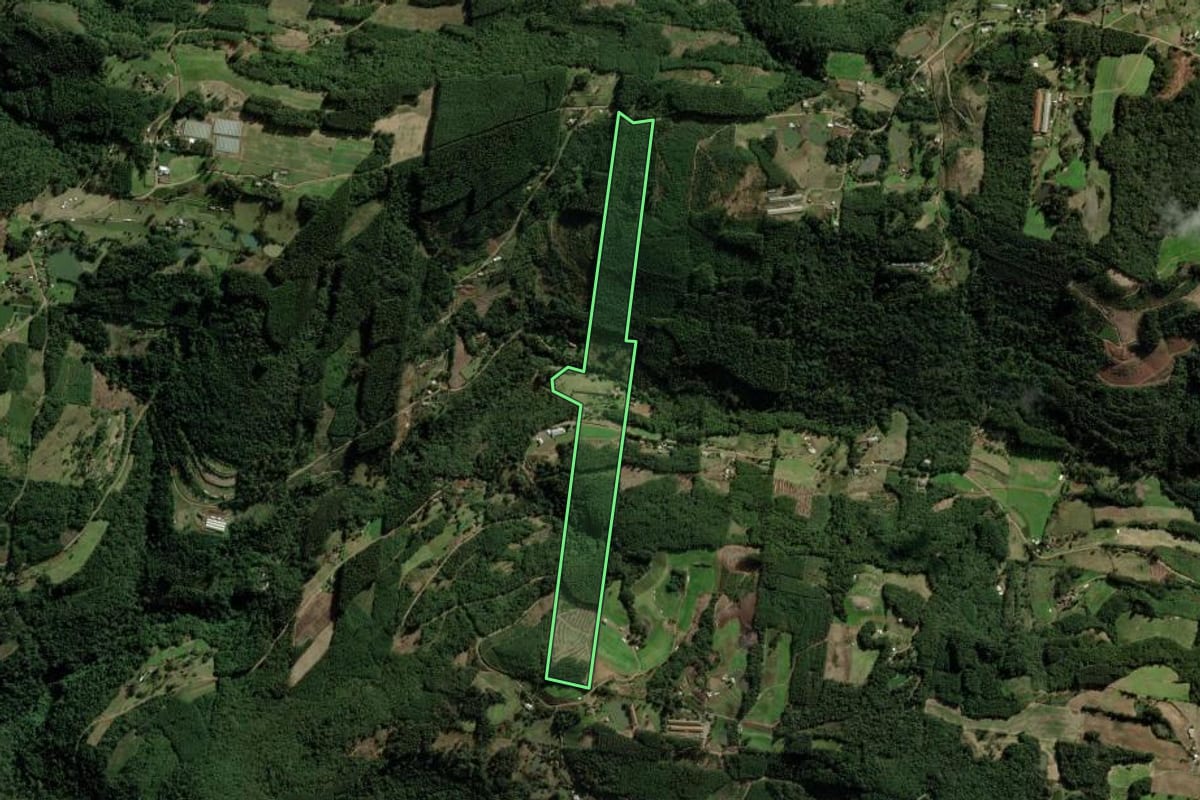 Imagem de satélite do imóvel rural em Nova Petrópolis (RS), com o contorno declarado no CAR desenhado por cima.