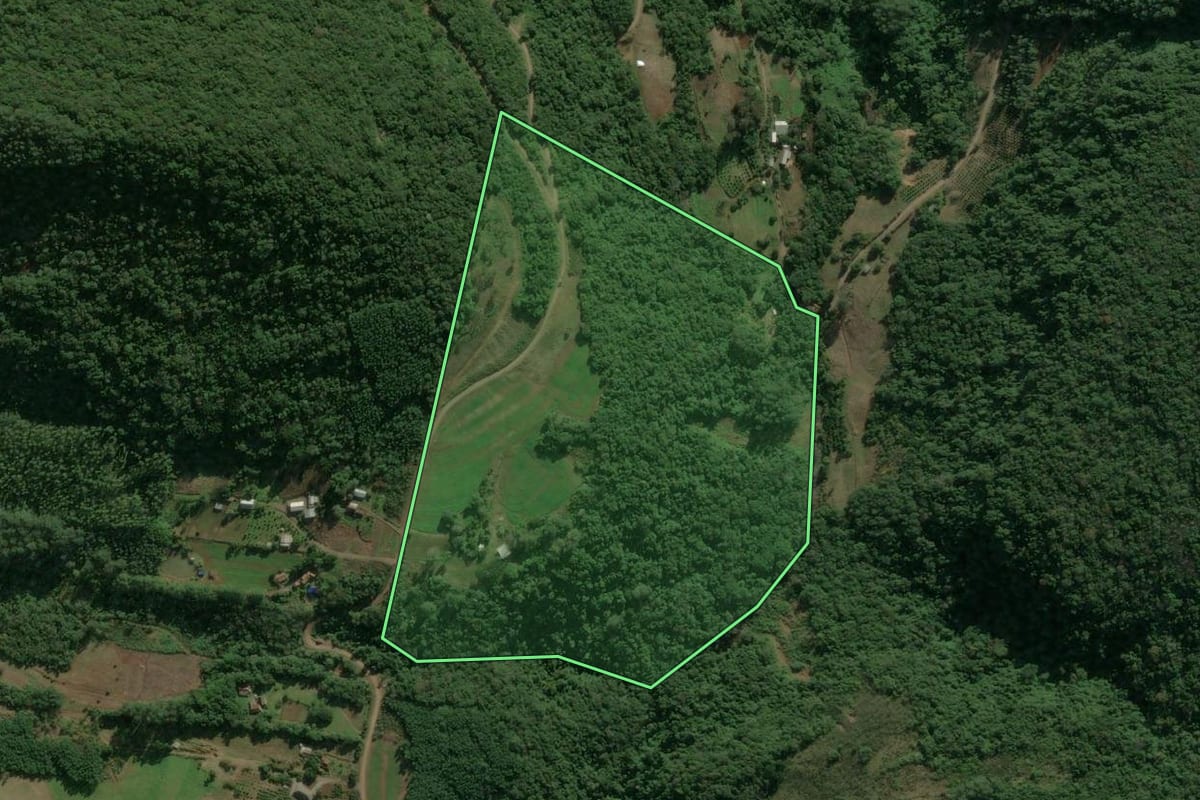 Imagem de satélite do imóvel rural em Nova Petrópolis (RS), com o contorno declarado no CAR desenhado por cima.