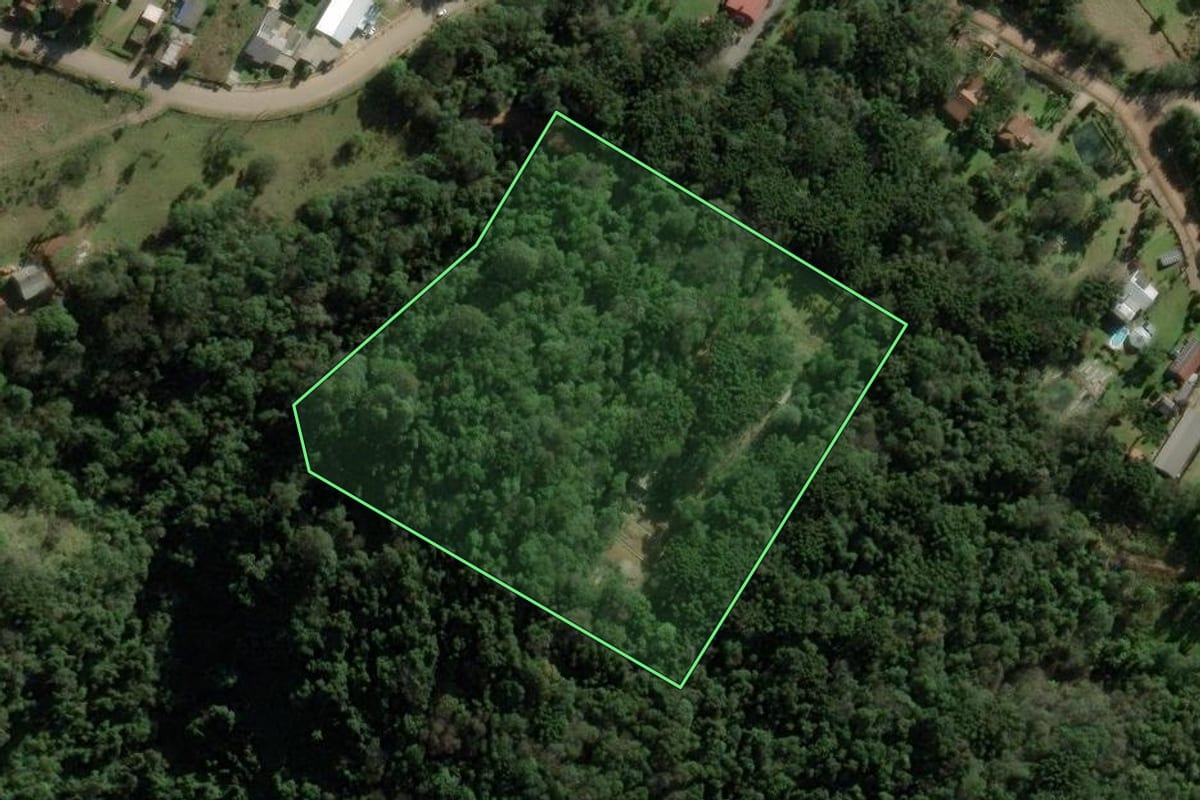 Imagem de satélite do imóvel rural em Nova Petrópolis (RS), com o contorno declarado no CAR desenhado por cima.