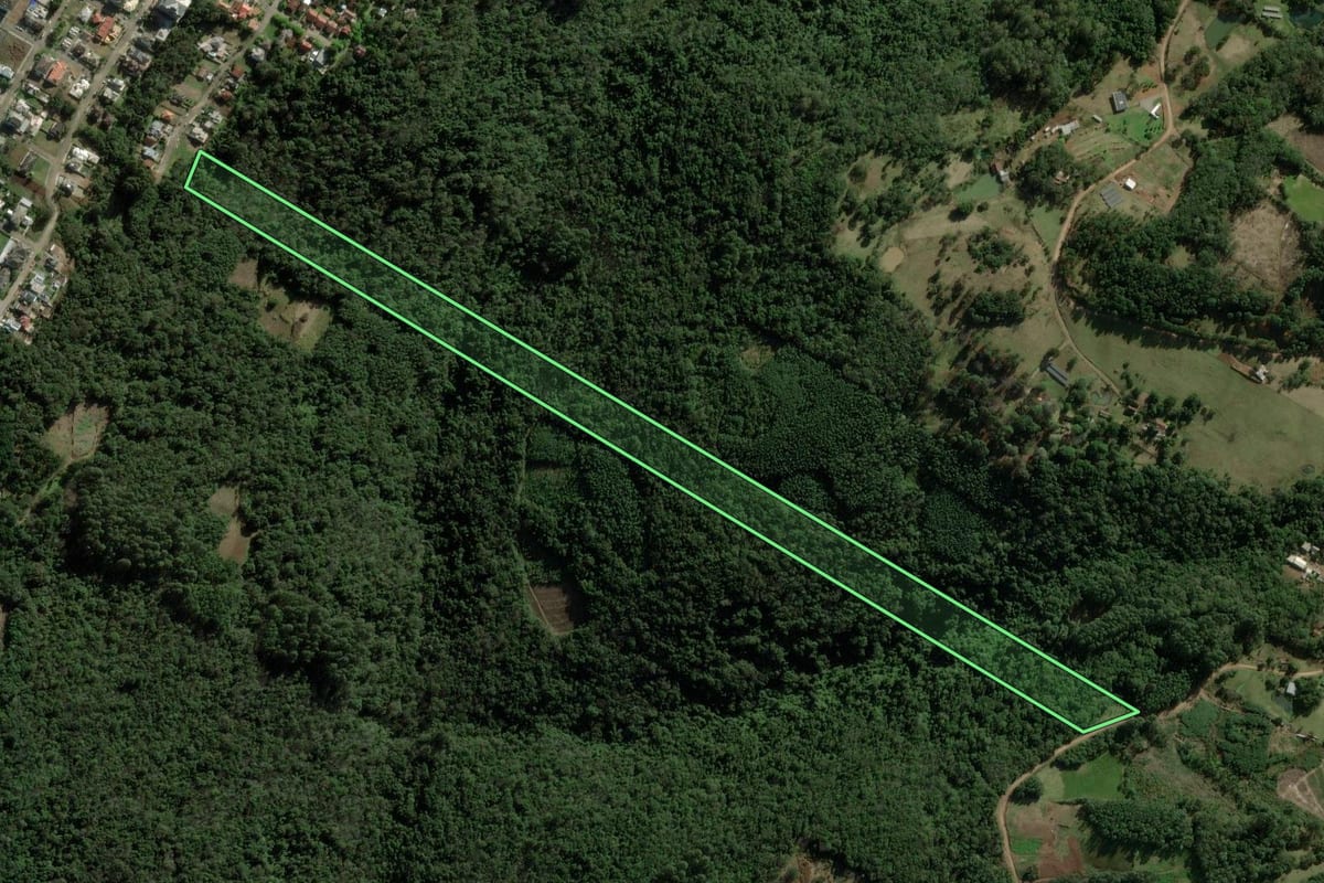 Imagem de satélite do imóvel rural em Nova Petrópolis (RS), com o contorno declarado no CAR desenhado por cima.