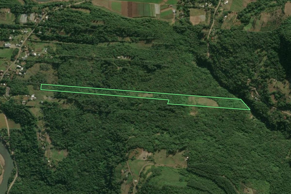 Imagem de satélite do imóvel rural em Nova Petrópolis (RS), com o contorno declarado no CAR desenhado por cima.