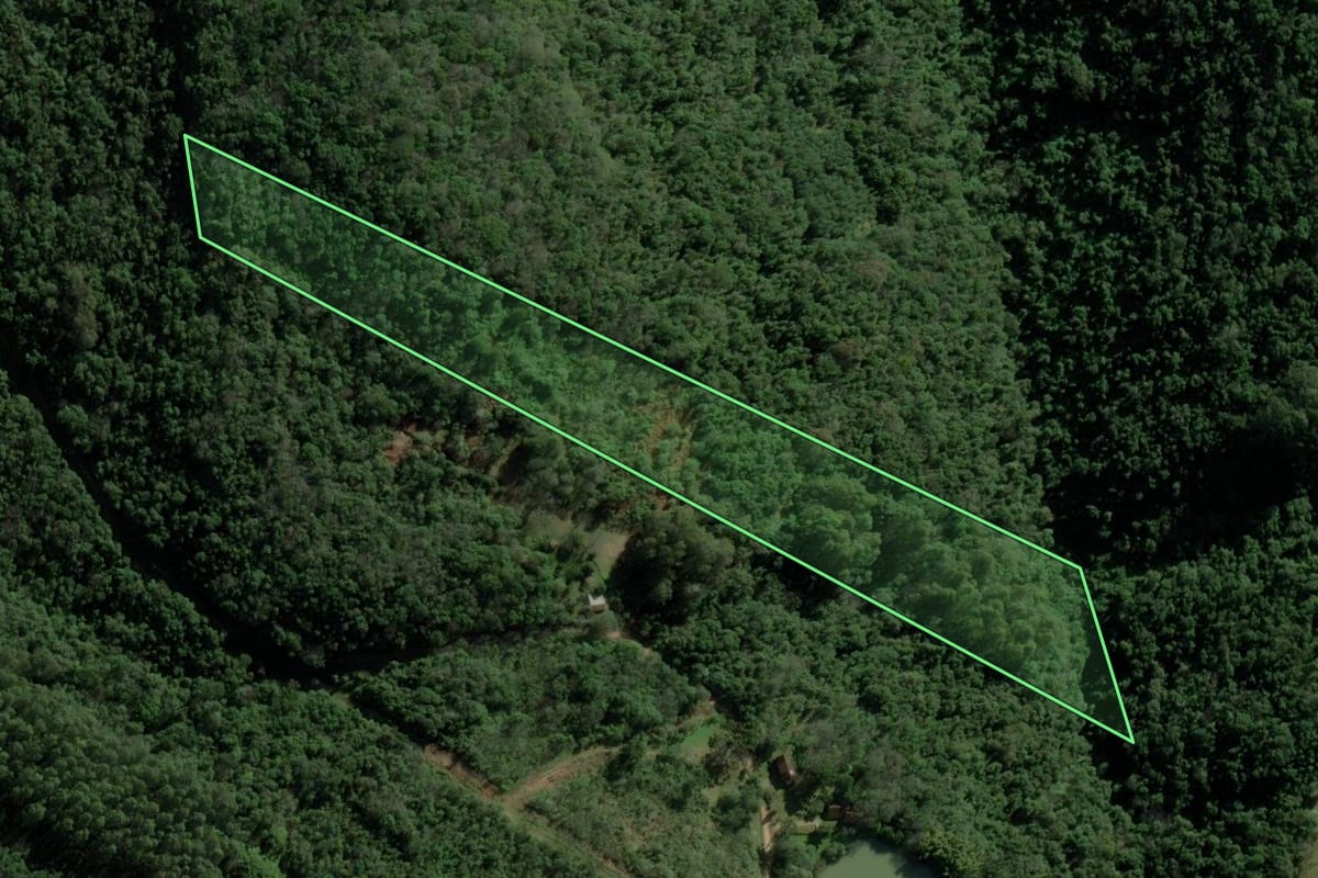 Imagem de satélite do imóvel rural em Nova Petrópolis (RS), com o contorno declarado no CAR desenhado por cima.